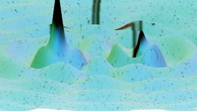 Capillary-gravity waves and streaming flows induced by heaving bodies at a free surface