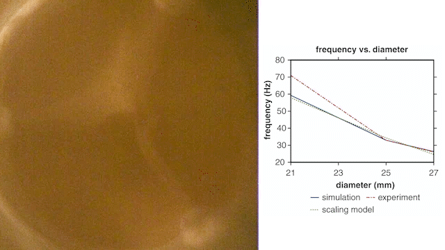 Bioprosthetic Aortic Valve Diameter and Thickness Are Directly Related to Leaflet Fluttering
